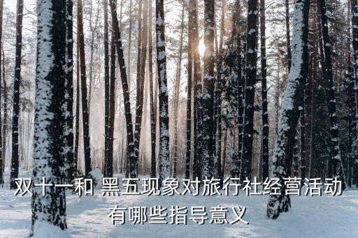 雙十一和 黑五現(xiàn)象對旅行社經(jīng)營活動有哪些指導(dǎo)意義