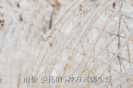  市價(jià) 委托的5種方式哪個(gè)好