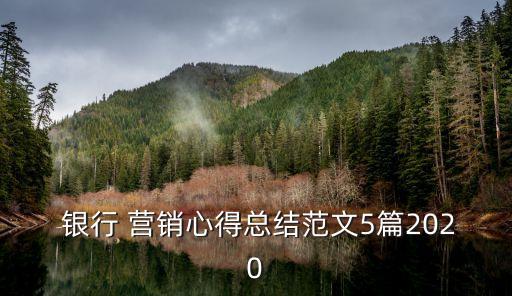  銀行 營銷心得總結范文5篇2020
