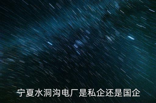  寧夏水洞溝電廠是私企還是國(guó)企