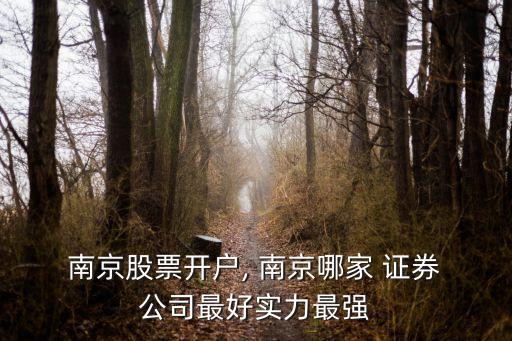  南京股票開戶, 南京哪家 證券 公司最好實力最強
