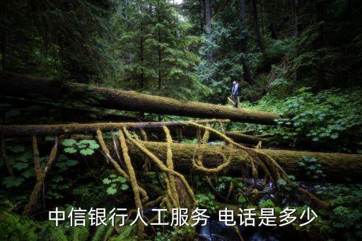  中信銀行人工服務 電話是多少