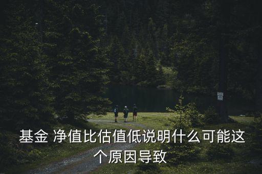  基金 凈值比估值低說明什么可能這個(gè)原因?qū)е? class=