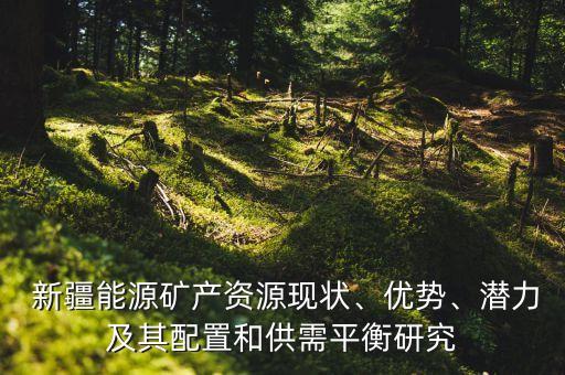  新疆能源礦產資源現狀、優(yōu)勢、潛力及其配置和供需平衡研究
