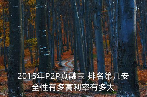 2015年p2p公司排名