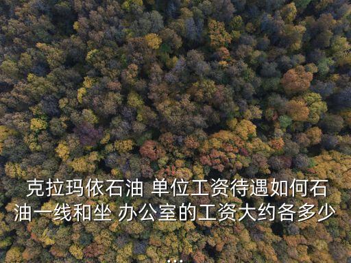  克拉瑪依石油 單位工資待遇如何石油一線和坐 辦公室的工資大約各多少...