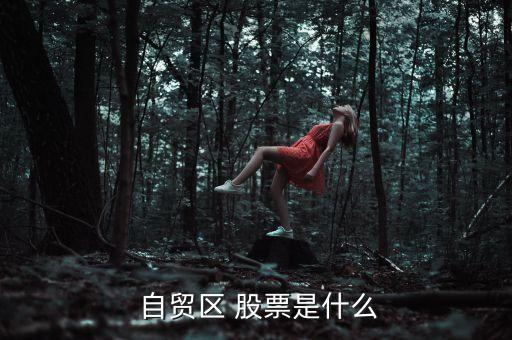  自貿(mào)區(qū) 股票是什么