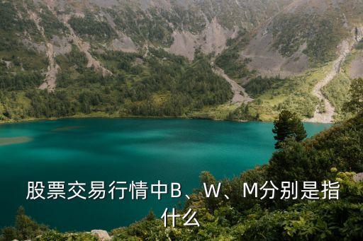  股票交易行情中B、W、M分別是指什么