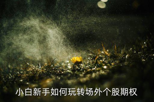 小白新手如何玩轉(zhuǎn)場外個(gè)股期權(quán)