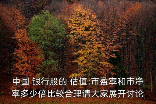 中國 銀行股的 估值:市盈率和市凈率多少倍比較合理請(qǐng)大家展開討論