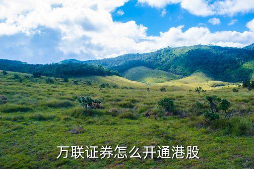  萬聯(lián)證券怎么開通港股