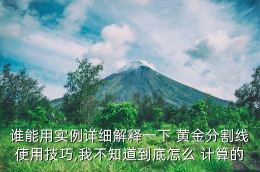 誰(shuí)能用實(shí)例詳細(xì)解釋一下 黃金分割線(xiàn)使用技巧,我不知道到底怎么 計(jì)算的
