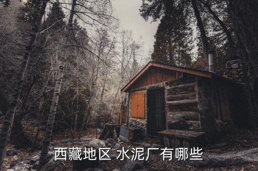 西藏地區(qū) 水泥廠有哪些