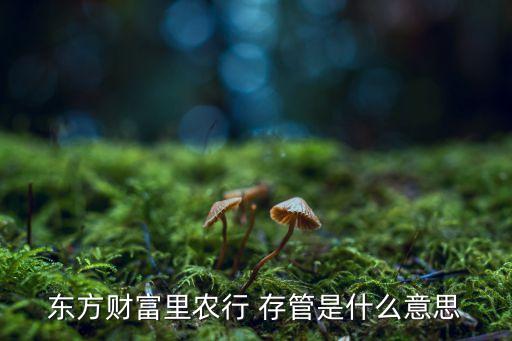 東方財(cái)富里農(nóng)行 存管是什么意思