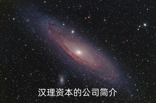 漢理資本的公司簡介
