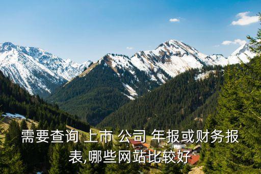需要查詢 上市 公司 年報或財務報表,哪些網(wǎng)站比較好