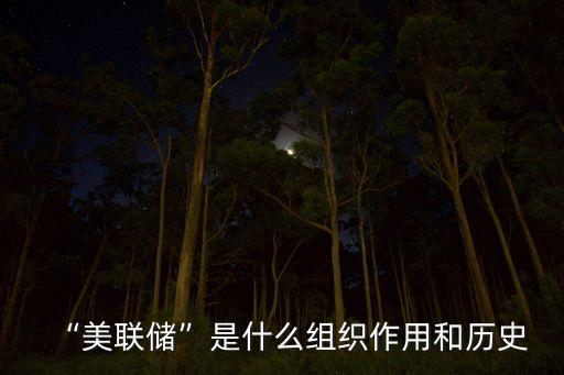 “美聯儲”是什么組織作用和歷史