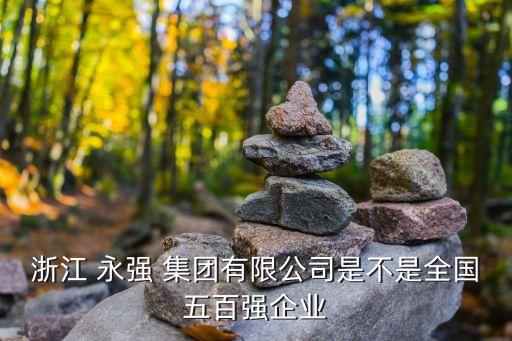 浙江 永強(qiáng) 集團(tuán)有限公司是不是全國(guó)五百強(qiáng)企業(yè)
