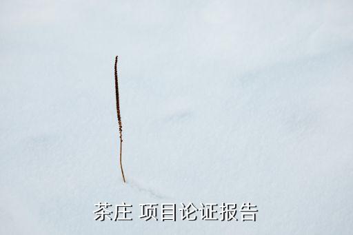 茶莊 項(xiàng)目論證報告