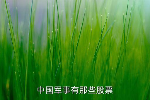 中兵投資旗下公司,兵投資產管理公司