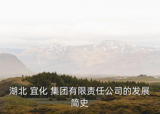 宜化集團高層領(lǐng)導名單,廈門路橋集團高層領(lǐng)導名單