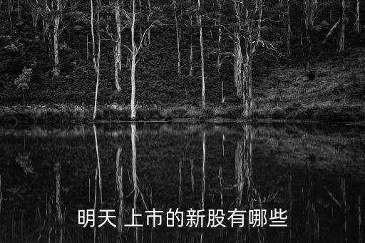 明天 上市的新股有哪些