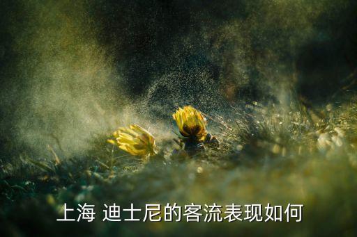  上海 迪士尼的客流表現(xiàn)如何