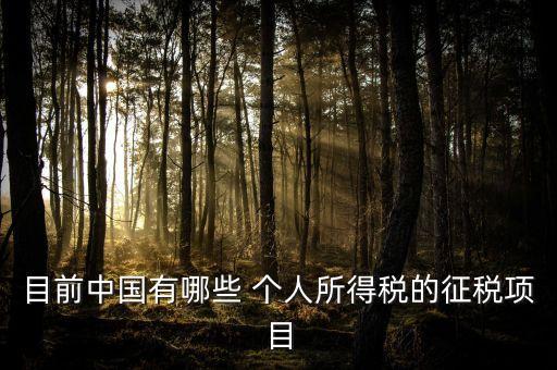 目前中國(guó)有哪些 個(gè)人所得稅的征稅項(xiàng)目