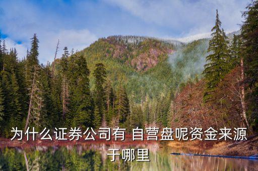 券商自營股票,股票券商自營盤怎么查