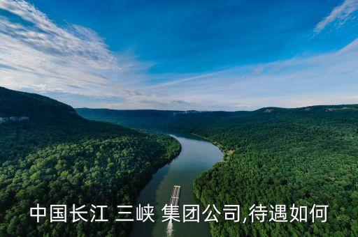 三峽集團領(lǐng)導調(diào)整,三峽長江生態(tài)環(huán)保集團領(lǐng)導