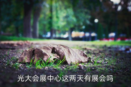中國(guó)上海國(guó)際婚紗攝影器材展覽會(huì),上?；榧啍z影器材展2023時(shí)間