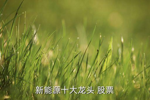 新能源十大龍頭 股票