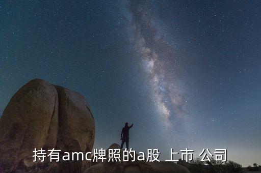 持有amc牌照的a股 上市 公司