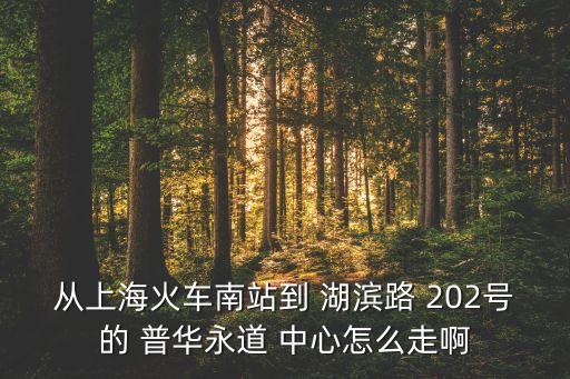 從上?；疖嚹险镜?湖濱路 202號的 普華永道 中心怎么走啊