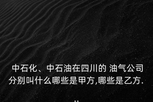 中石化、中石油在四川的 油氣公司分別叫什么哪些是甲方,哪些是乙方...