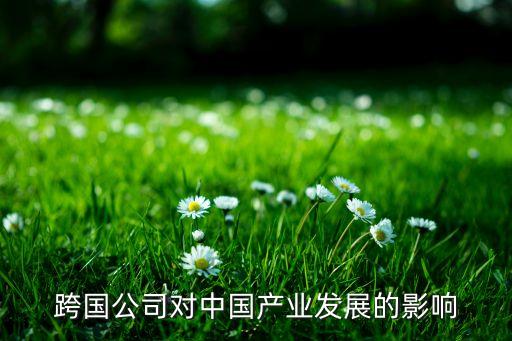跨國公司對(duì)中國產(chǎn)業(yè)發(fā)展的影響