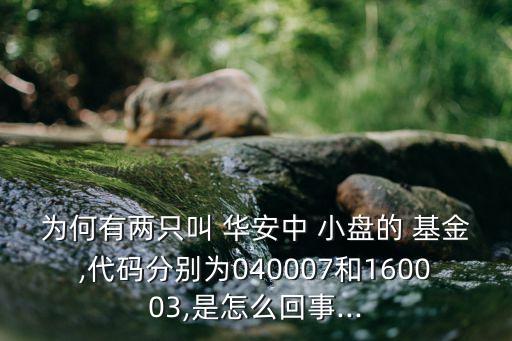 為何有兩只叫 華安中 小盤(pán)的 基金,代碼分別為040007和160003,是怎么回事...