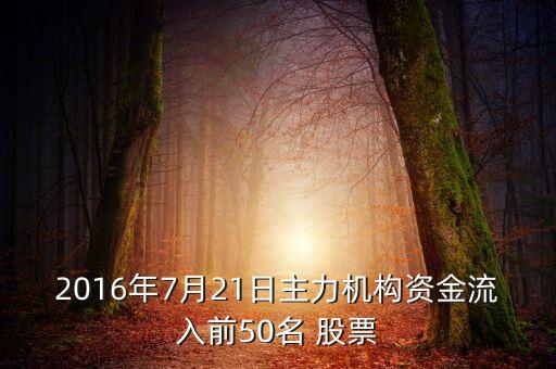 2016年7月21日主力機構(gòu)資金流入前50名 股票