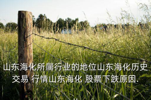 山東?；鶎傩袠I(yè)的地位山東海化歷史交易 行情山東?；?股票下跌原因...