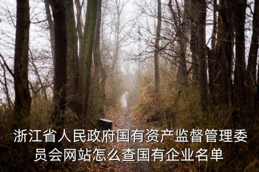  浙江省人民政府國有資產(chǎn)監(jiān)督管理委員會(huì)網(wǎng)站怎么查國有企業(yè)名單