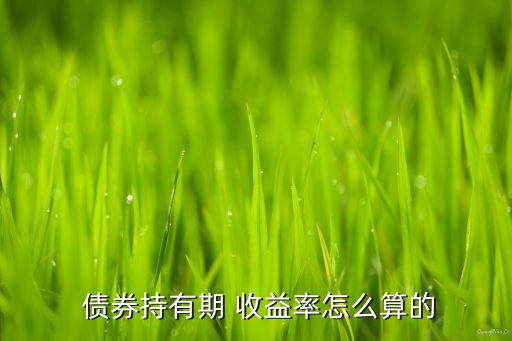  債券持有期 收益率怎么算的