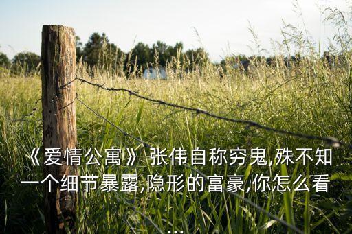《愛情公寓》 張偉自稱窮鬼,殊不知一個(gè)細(xì)節(jié)暴露,隱形的富豪,你怎么看...
