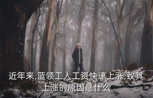 近年來,藍領工人工資快速上漲,致其上漲的原因是什么