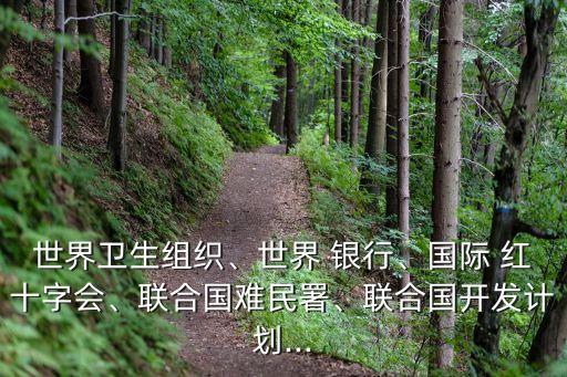 世界衛(wèi)生組織、世界 銀行、國際 紅十字會、聯(lián)合國難民署、聯(lián)合國開發(fā)計(jì)劃...