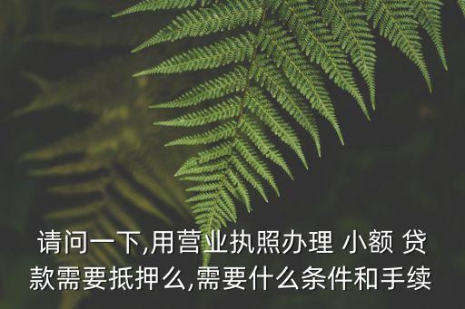 請問一下,用營業(yè)執(zhí)照辦理 小額 貸款需要抵押么,需要什么條件和手續(xù)