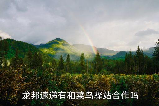  龍邦速遞有和菜鳥(niǎo)驛站合作嗎