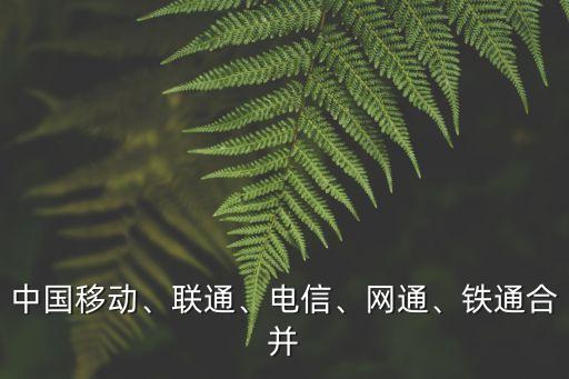 中國移動、聯(lián)通、電信、網(wǎng)通、鐵通合并
