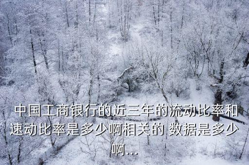  中國工商銀行的近三年的流動比率和速動比率是多少啊相關的 數(shù)據(jù)是多少啊...