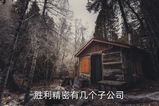 勝利精密有幾個子公司