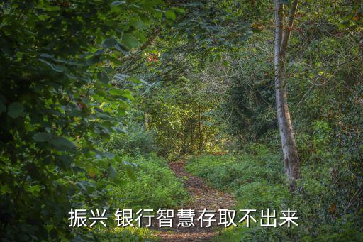  振興 銀行智慧存取不出來(lái)